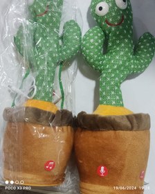 تصویر کاکتوس سخنگو با آهنگ cactus