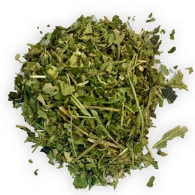 تصویر برگ گزنه 