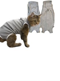 تصویر لباس بعد از جراحی گربه 