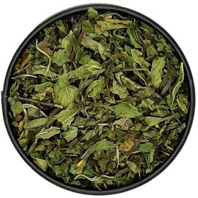 تصویر دمنوش نعنا فلفلی 