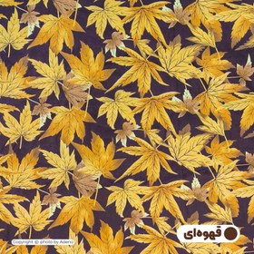 تصویر روبالشی آدنو مدل Autumn کد CH136 بسته 2 عددی 