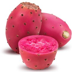 تصویر میوه کاکتوس Cactus Fruit