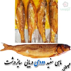 تصویر ماهی سفید دودی صید دریا ( درشت ) 