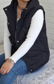 تصویر پافر وست 