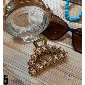 تصویر کلیپس گل گلی 