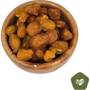 تصویر فروشگاه ناتس هوم