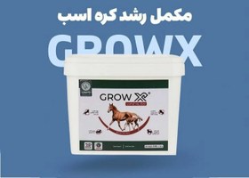 تصویر مکمل گروایکس رایمون 5کیلویی|grow X 