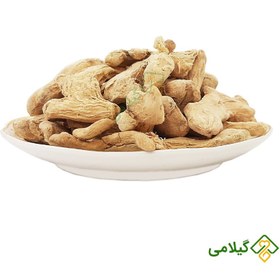 تصویر زنجبیل گیلامی (Gilamie Ginger) 