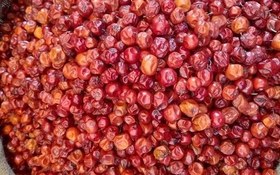 تصویر فلفل قرمز عنابی - پاکت پلاستیکی / 500g / اسیاب نشده لوکس Jujube pepper