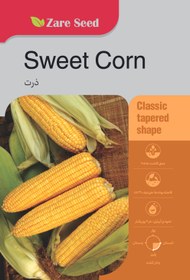 تصویر بذر ذرت 