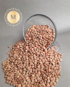 تصویر عدس روسی Russian lentils