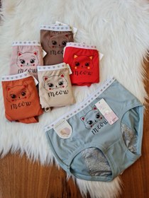 تصویر شورتکس بهداشتی طرح meow - کد 0 period women underwear