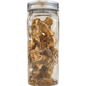 تصویر قارچ مایتاکه 