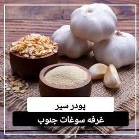 تصویر پودر سیر اعلا (100 گرمی) 