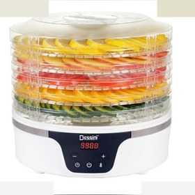 تصویر میوه خشک کن دسینی مدل 2000 