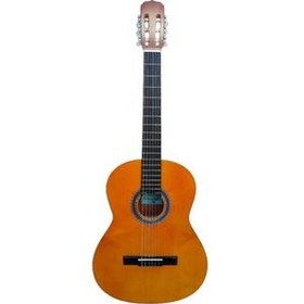 تصویر گیتار یونیک مدل C50 