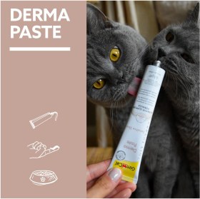 تصویر خمیر پوست و مو درما گربه جیم کت (Gimcat Derma Paste) جیم کت گربه