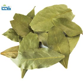 تصویر برگ بو 20 گرمی طب سا Laurus nobilis