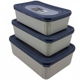 تصویر ظرف فریزری ماکروفری 3 تکه مستطیل کاپریس Caprice 3-piece rectangular microwave freezer container