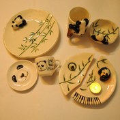 تصویر ست نوزادی پاندا 