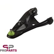 تصویر طبق ساندرو امیرنیا چپ طبق