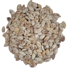 تصویر تخمه کدو دو آتیشه 