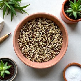 تصویر کینوا سه رنگ 