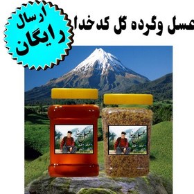 تصویر عسل طبیعی کوهی و گرده گل کوهی کدخدا (1 کیلوگرم شهد طبیعی 500گرم گرده گل کوهی ارسال رایگان خرید بدون واسطه ) 