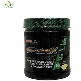 تصویر پمپ اسپارک تسلا | Tesla Pump Spark 