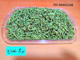 تصویر برگ نعناع ـ ۲۰۰گرم 