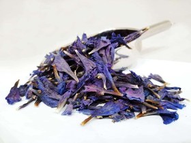 تصویر گل گاوزبان 