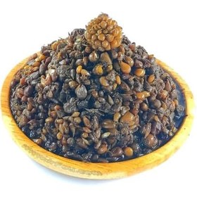 تصویر گل سیر هفت ساله 