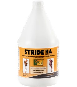 تصویر STRIDE HA 