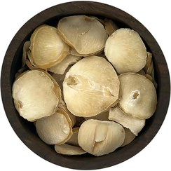 تصویر موسیر خشک 