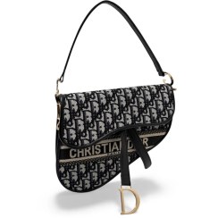 تصویر کیف زنانه Dior Saddle Bag Oblique 
