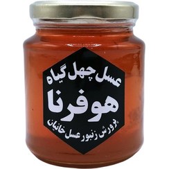 تصویر عسل چهل گیاه 400 گرم هوفرنا 