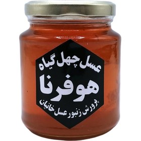 تصویر عسل چهل گیاه 400 گرم هوفرنا 