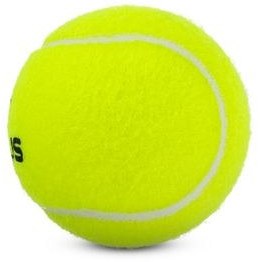 تصویر توپ تنیس جعبه 24 فوکوس Usr 