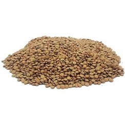 تصویر عدس ریز فله ای ۱ کیلوگرم 