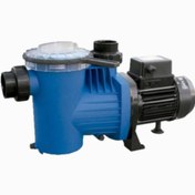 تصویر پمپ تصفیه استخری پنتاکس مدل WINNER150M ظرفیت ۱/۵ اسب 