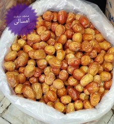 تصویر سنجد درشت امسالی Oleaster