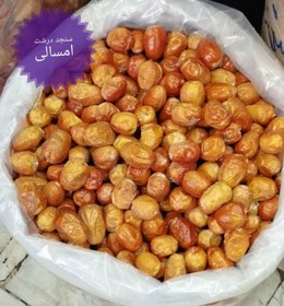 تصویر سنجد درشت امسالی Oleaster