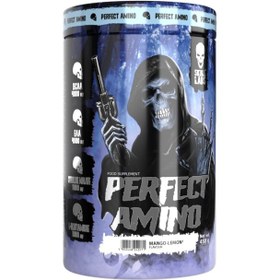 تصویر آمینو 300 قرص اسکال لبز FA SKULL LABS PERFECT AMINO 300 TABS