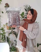 تصویر بستر کشت ۸ لیتری سبک برای گیاهان آپارتمانی - خاک سبک هلندی 8 لیتری Dutch soil for house plant