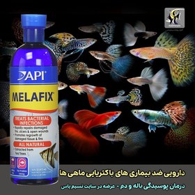 تصویر دارو ملافیکس ضد بیماری باکتریایی آبزیان آب شیرین ای پی آی API API MELAFIX for freshwater