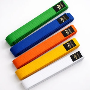 تصویر فروشگاه ورزشی