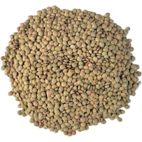 تصویر عدس آش - ۱ کیلوگرم 