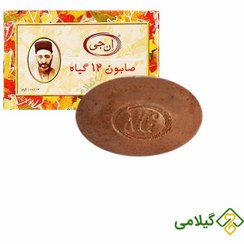 تصویر صابون ۱۲ گیاه ان جی ۱۰۰ گرمی 