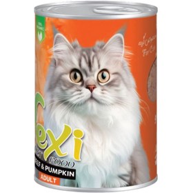 تصویر کنسرو پته ای گربه وکسی طعم گوساله و کدو حلوایی 400 گرمی VEXI Cat adult With beef 400 ML