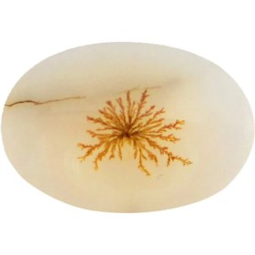 تصویر سنگ شجر پارلا گوهر کد 4076 